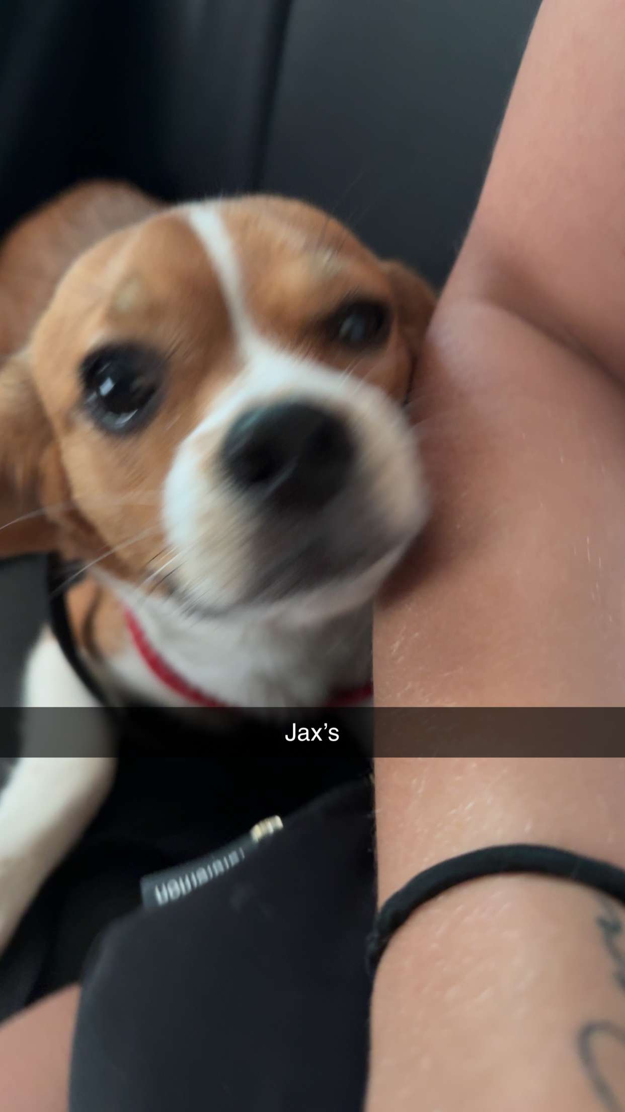 kydoddss snapchat image archive image