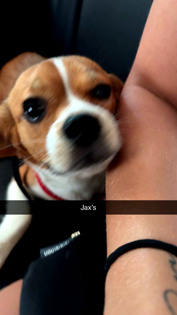 kydoddss image ~ Altpins