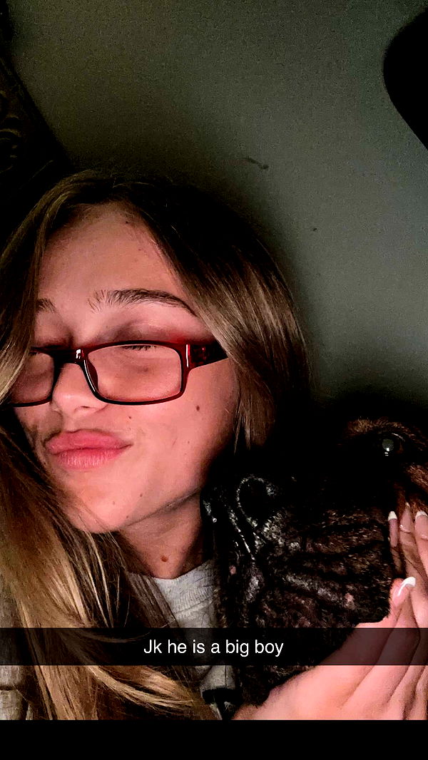 kydoddss image ~ Altpins