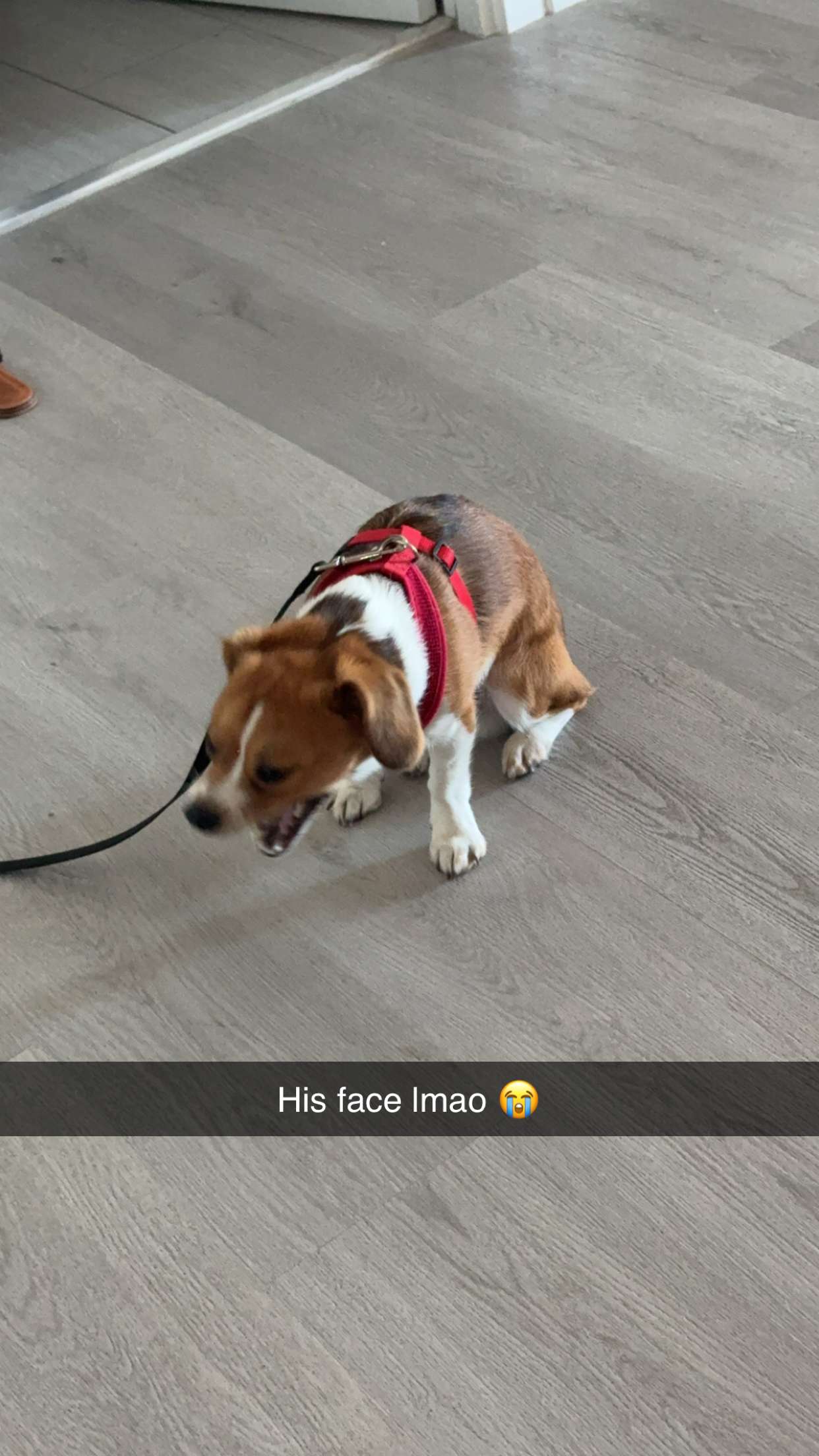 kydoddss snapchat image archive image