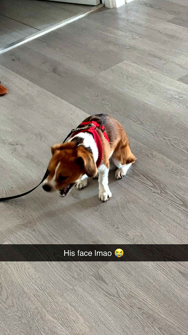 kydoddss image ~ Altpins