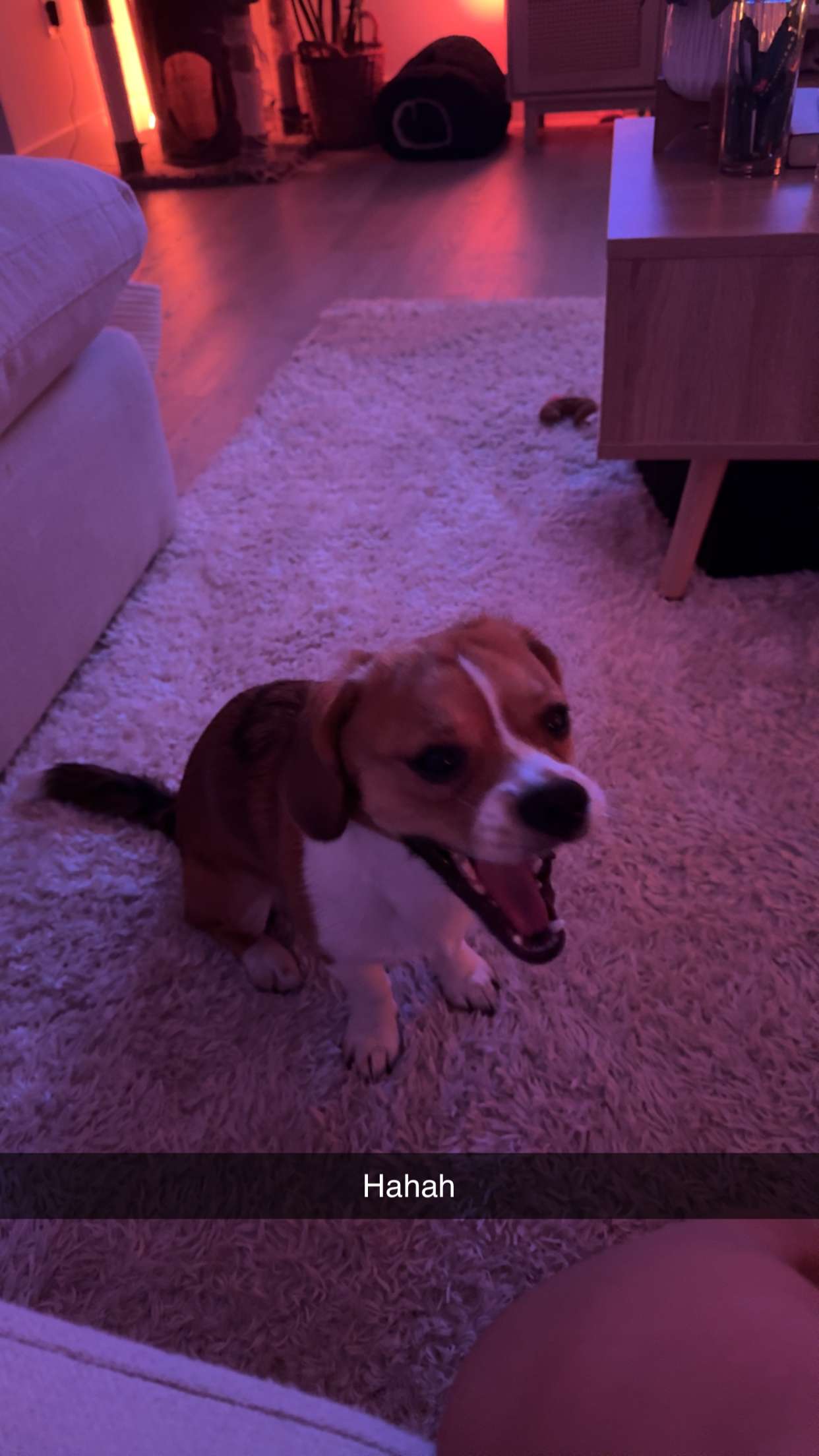 kydoddss snapchat image archive image