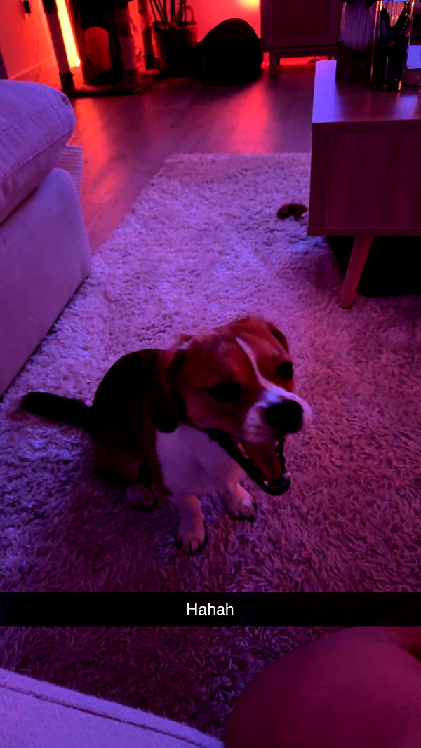 kydoddss image ~ Altpins