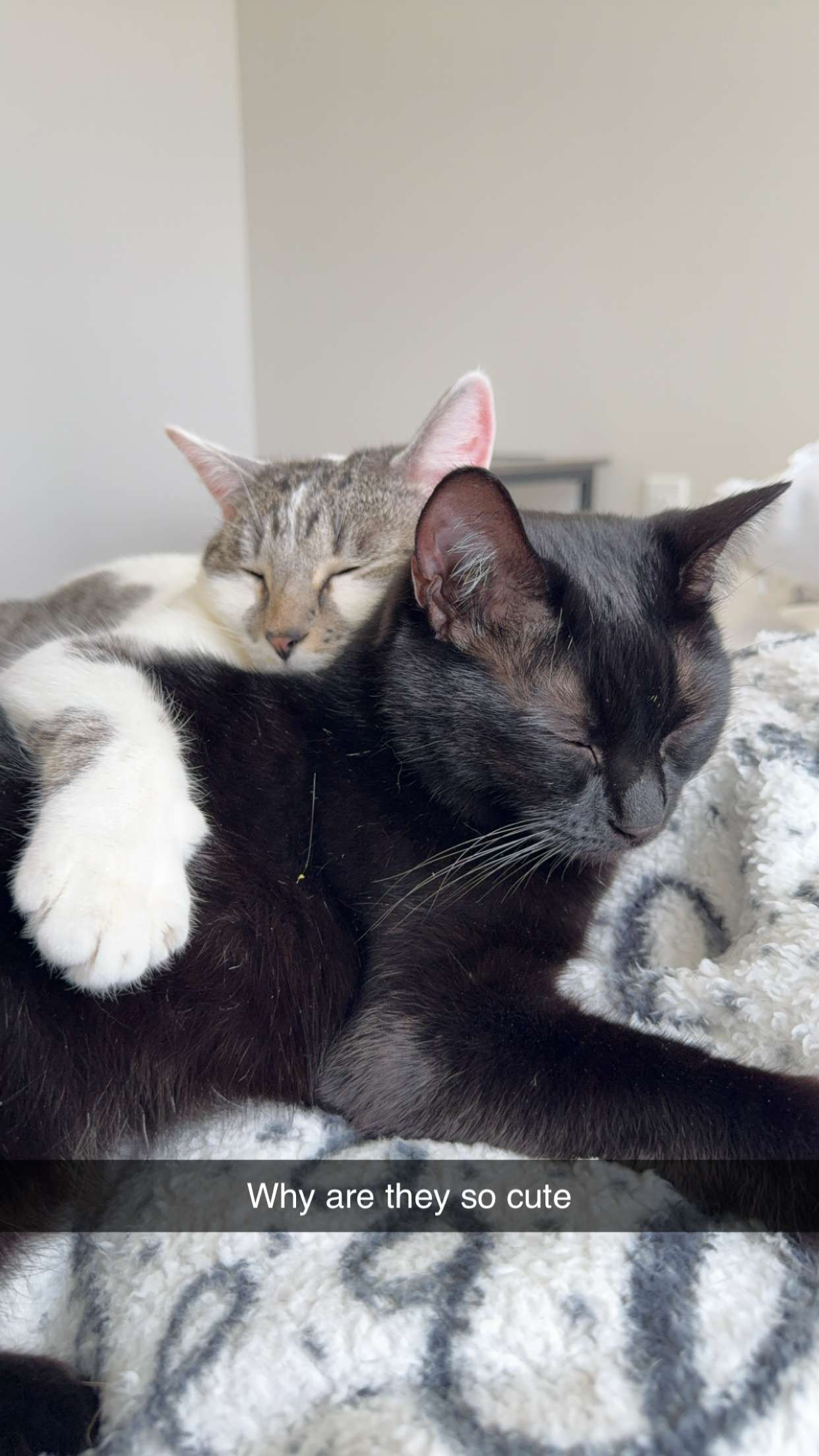 kydoddss snapchat image archive image