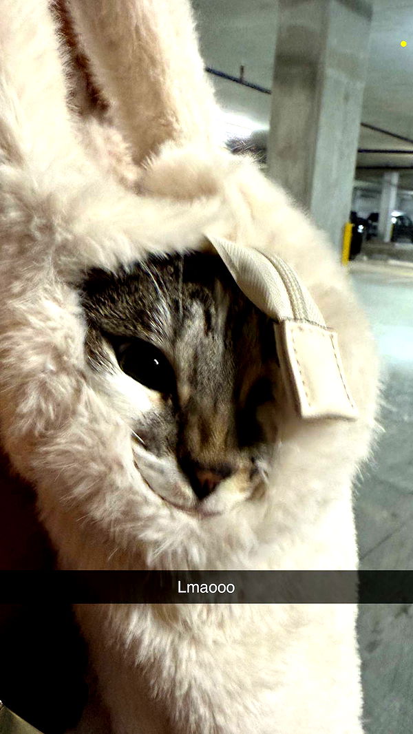 kydoddss image ~ Altpins