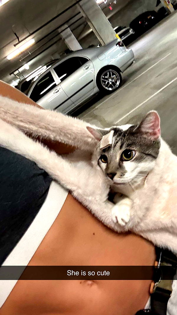 kydoddss image ~ Altpins