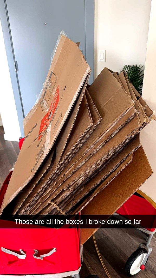 kydoddss image ~ Altpins