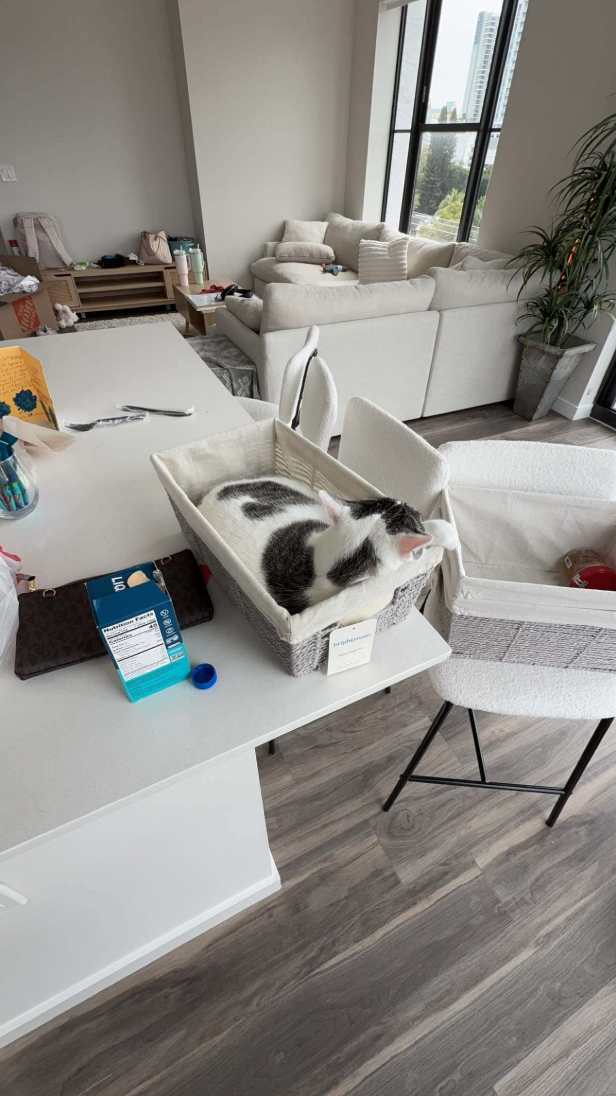 kydoddss snapchat image archive image