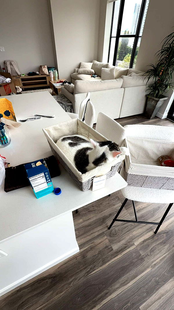 kydoddss image ~ Altpins