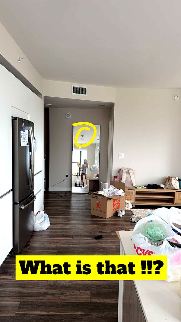 kydoddss image ~ Altpins