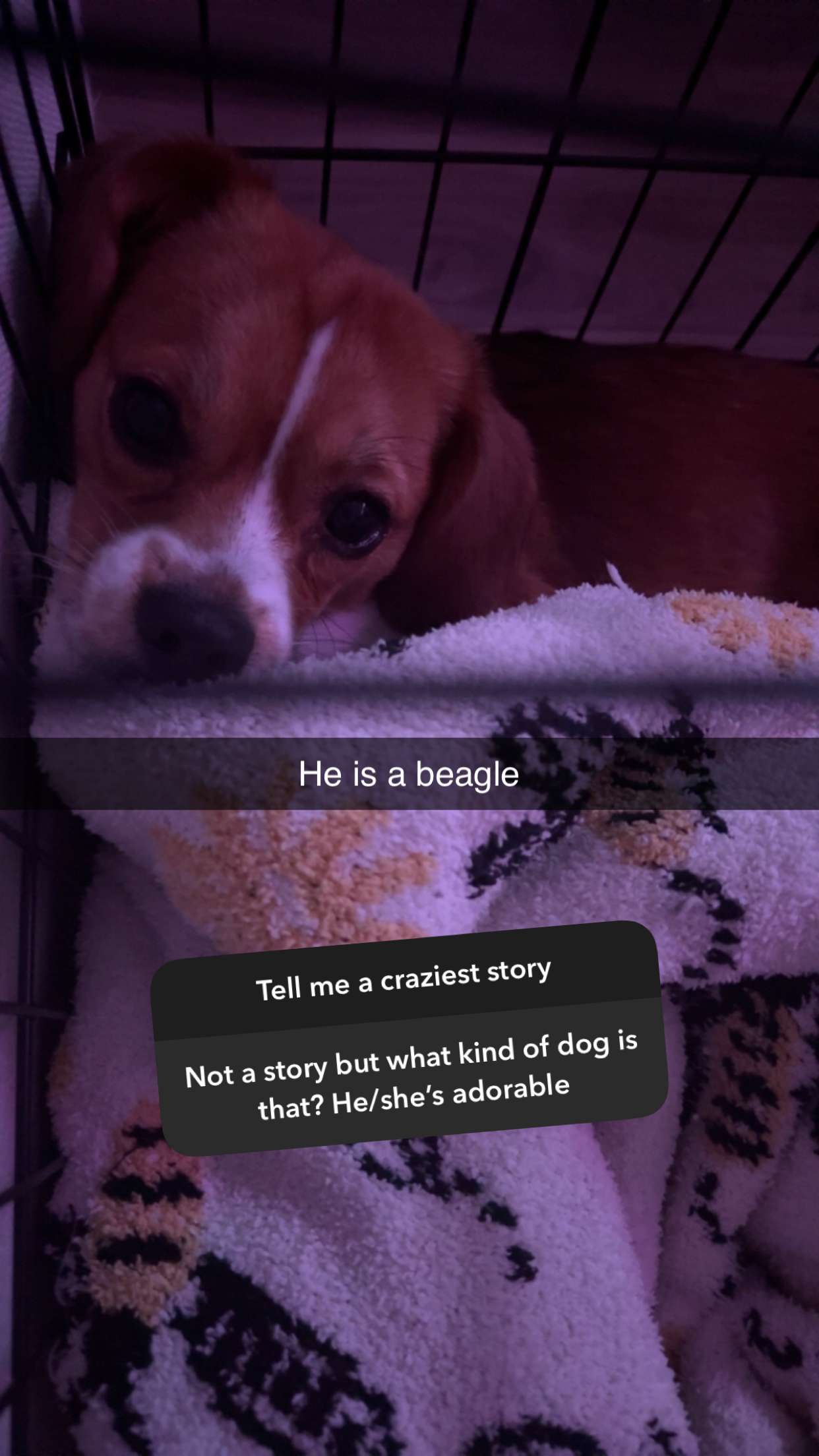 kydoddss snapchat image archive image