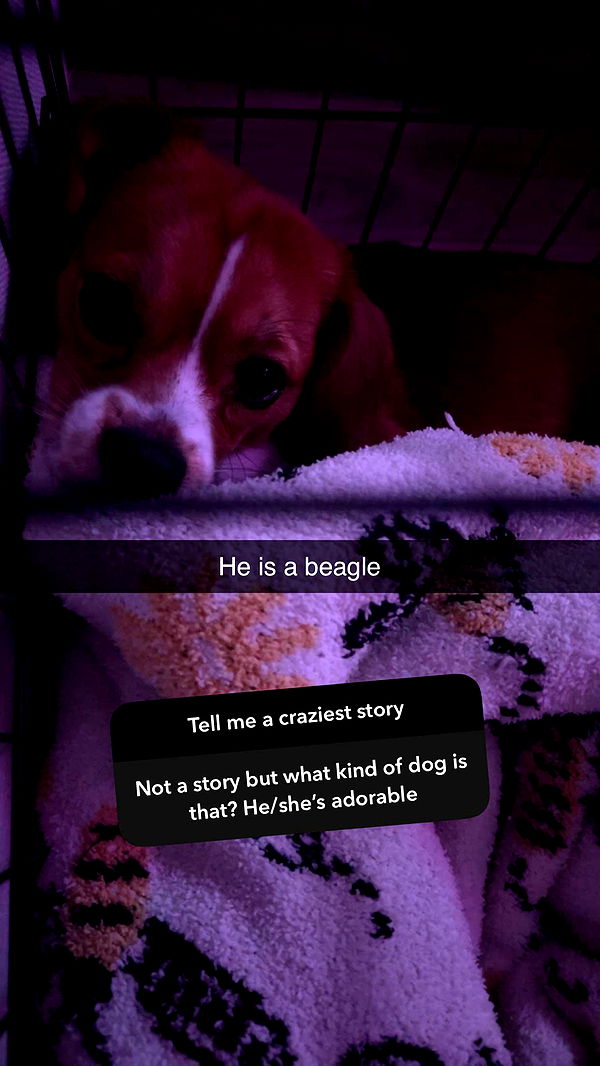 kydoddss image ~ Altpins