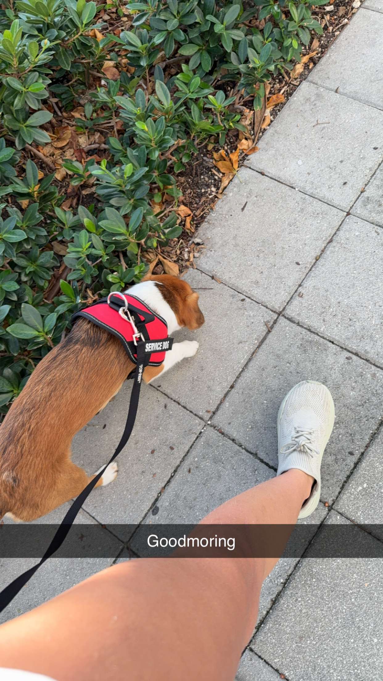 kydoddss snapchat image archive image