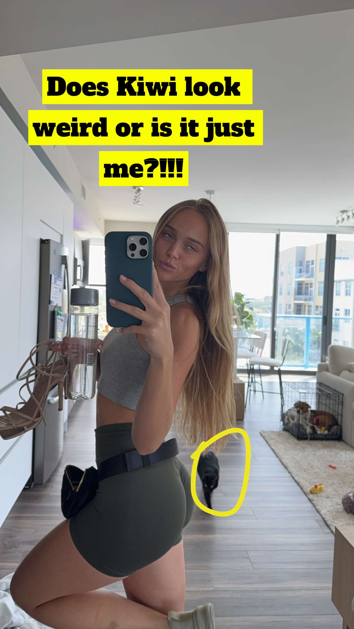 kydoddss snapchat image archive image