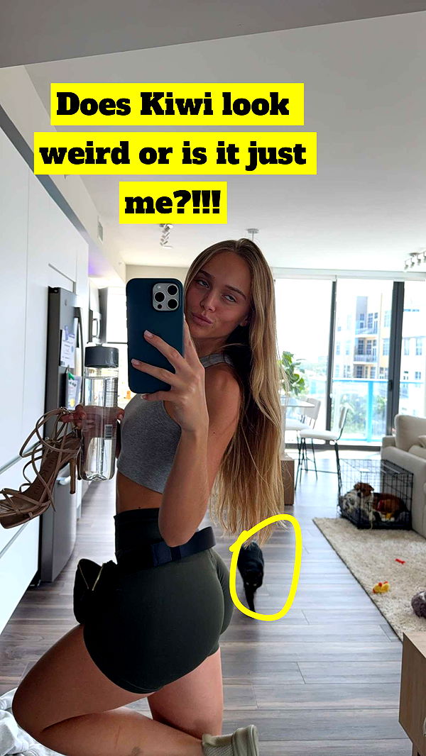 kydoddss image ~ Altpins