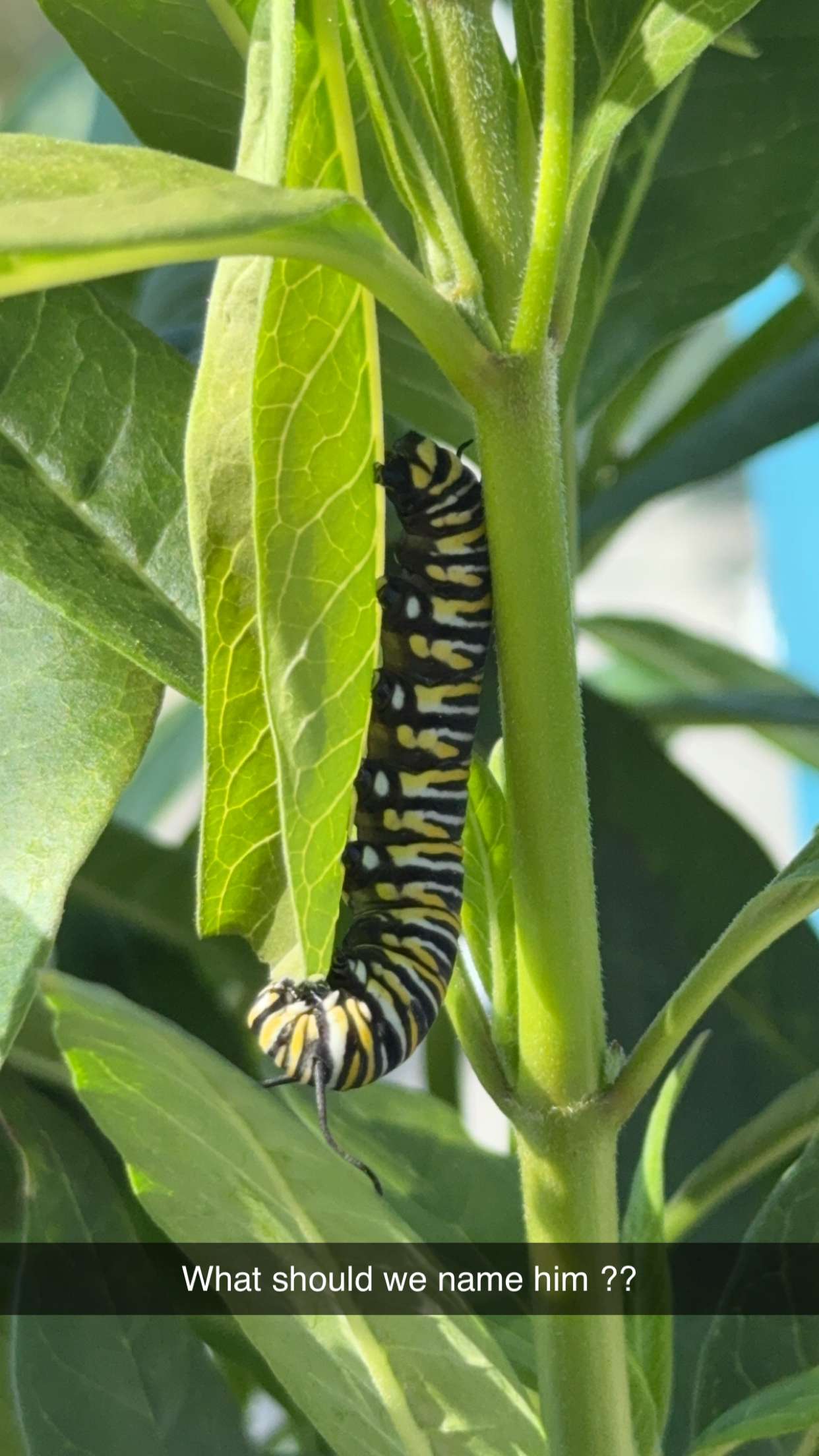 kydoddss snapchat image archive image