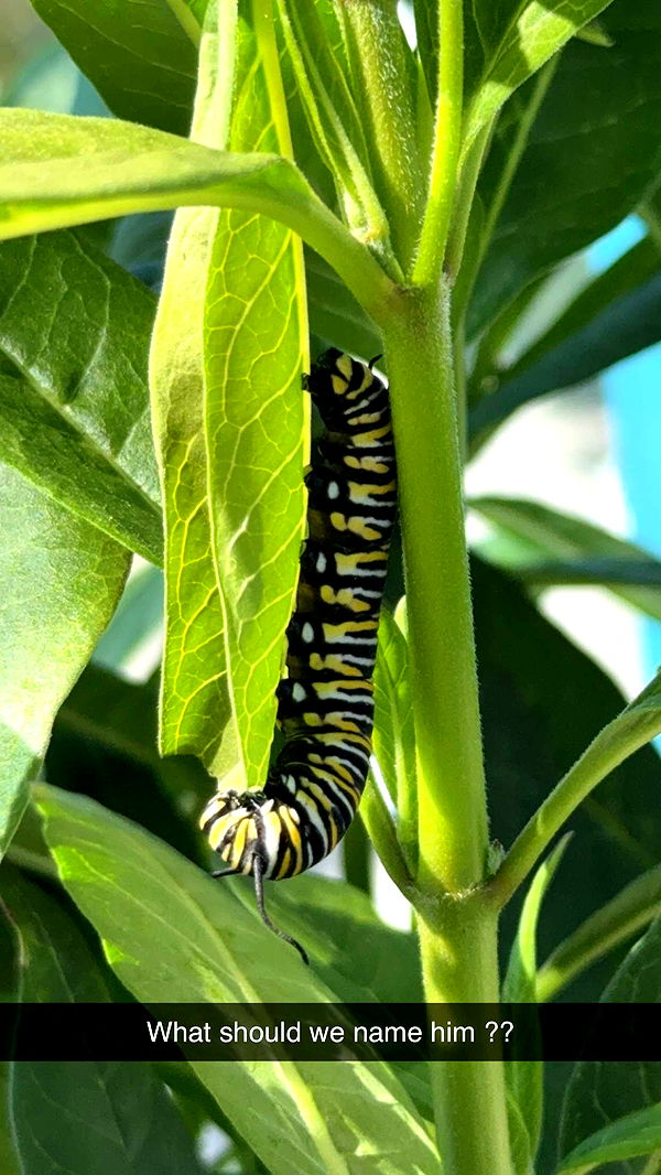 kydoddss image ~ Altpins