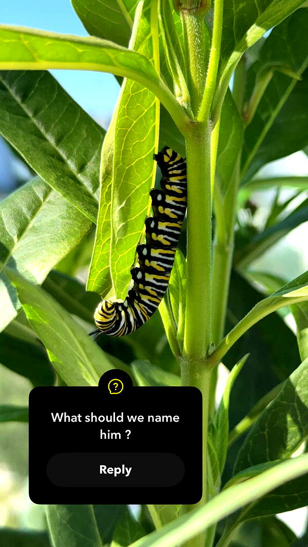 kydoddss image ~ Altpins