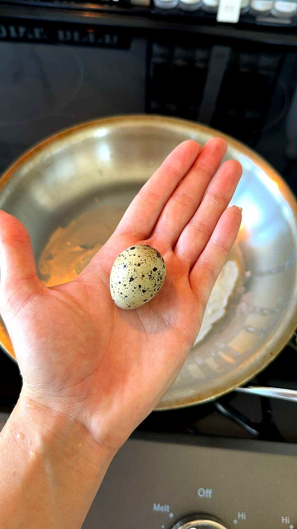 kydoddss image ~ Altpins