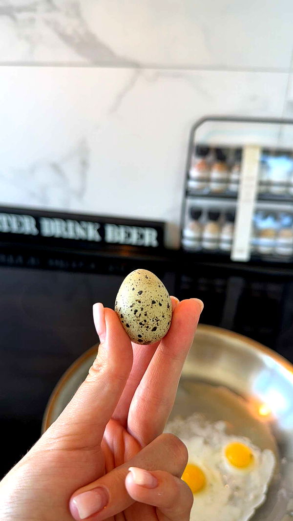 kydoddss image ~ Altpins