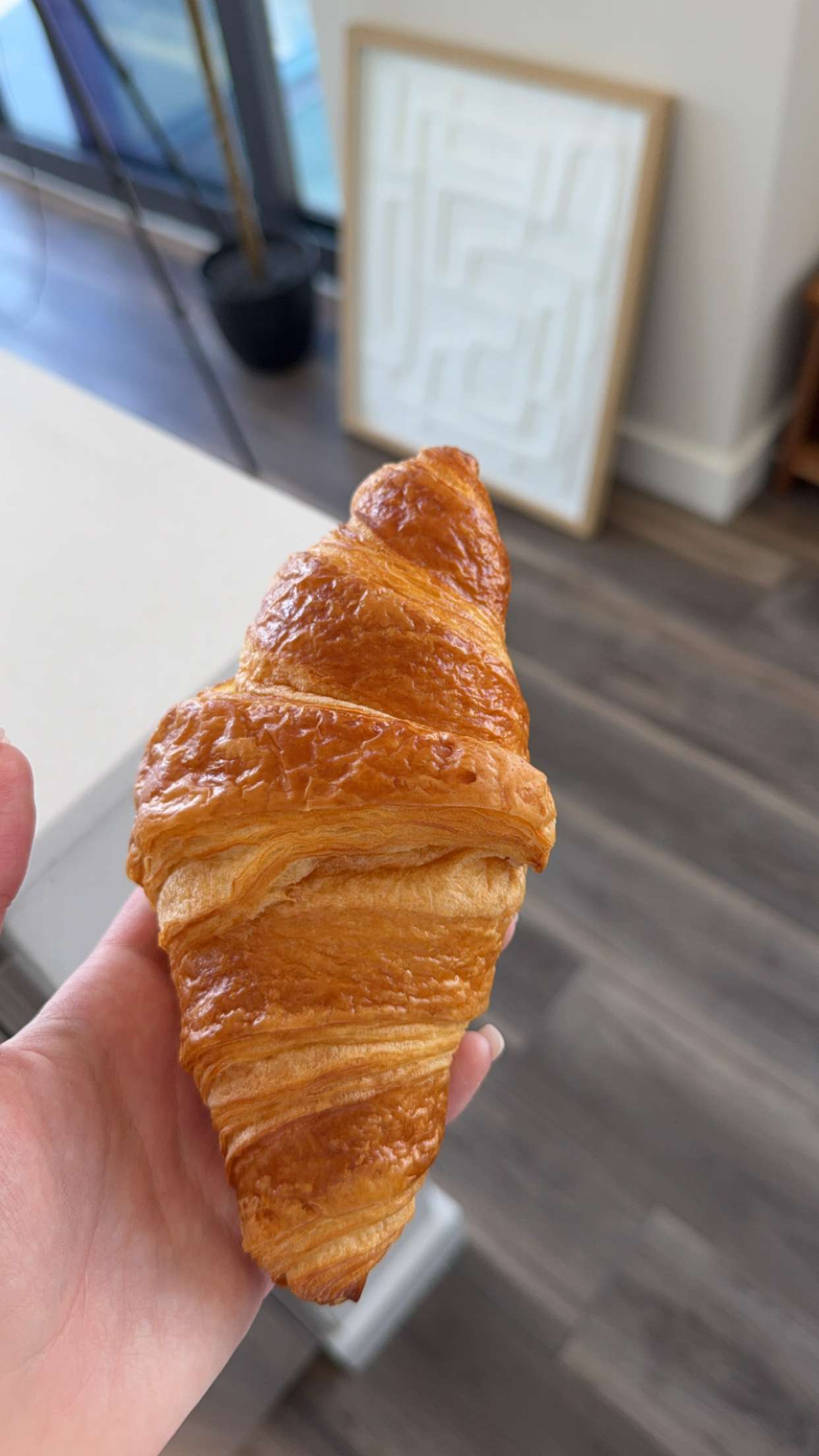 kydoddss snapchat image archive image