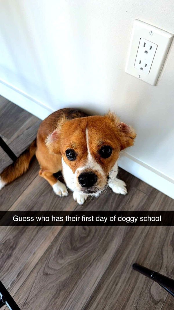 kydoddss image ~ Altpins