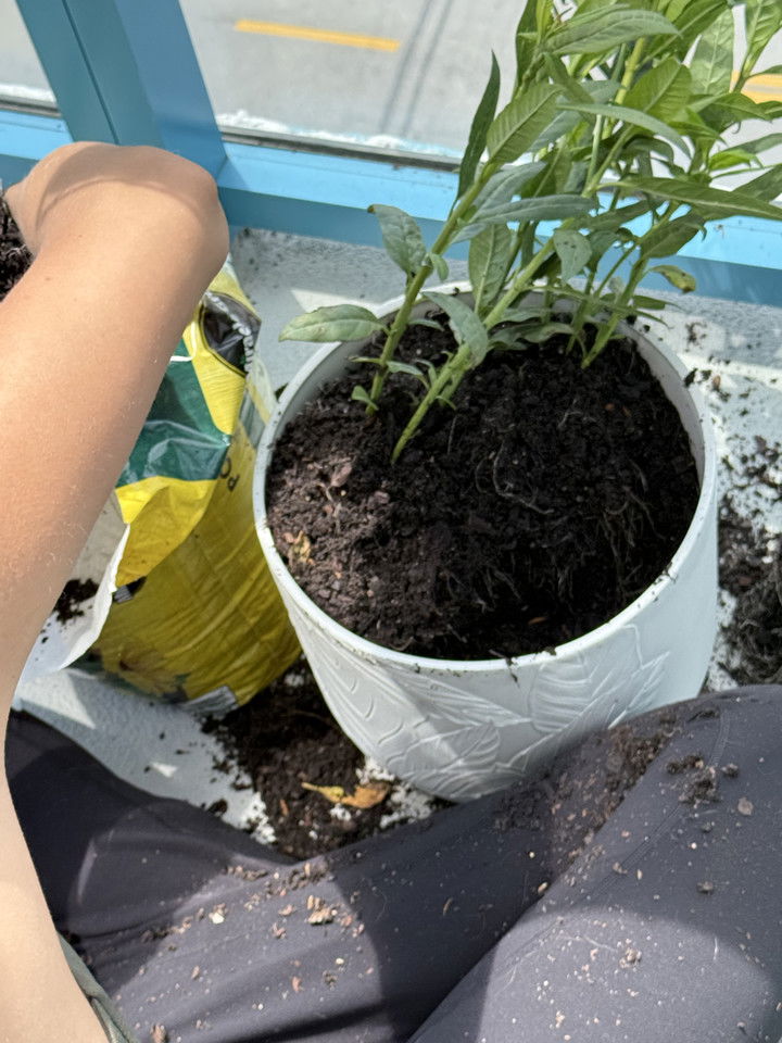 kydoddss snapchat image archive image