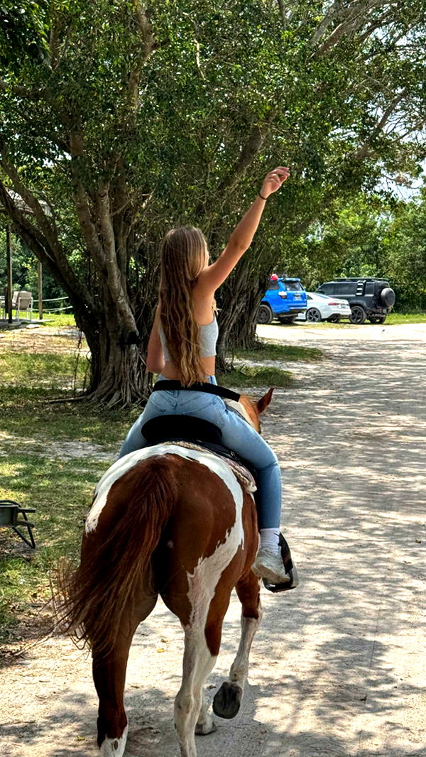 kydoddss image ~ Altpins