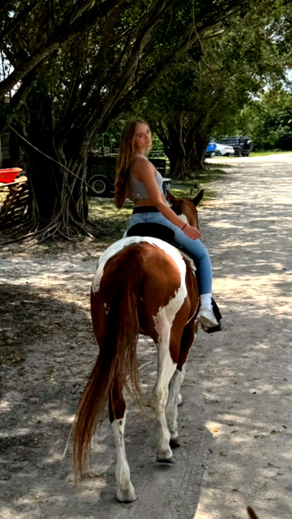 kydoddss image ~ Altpins