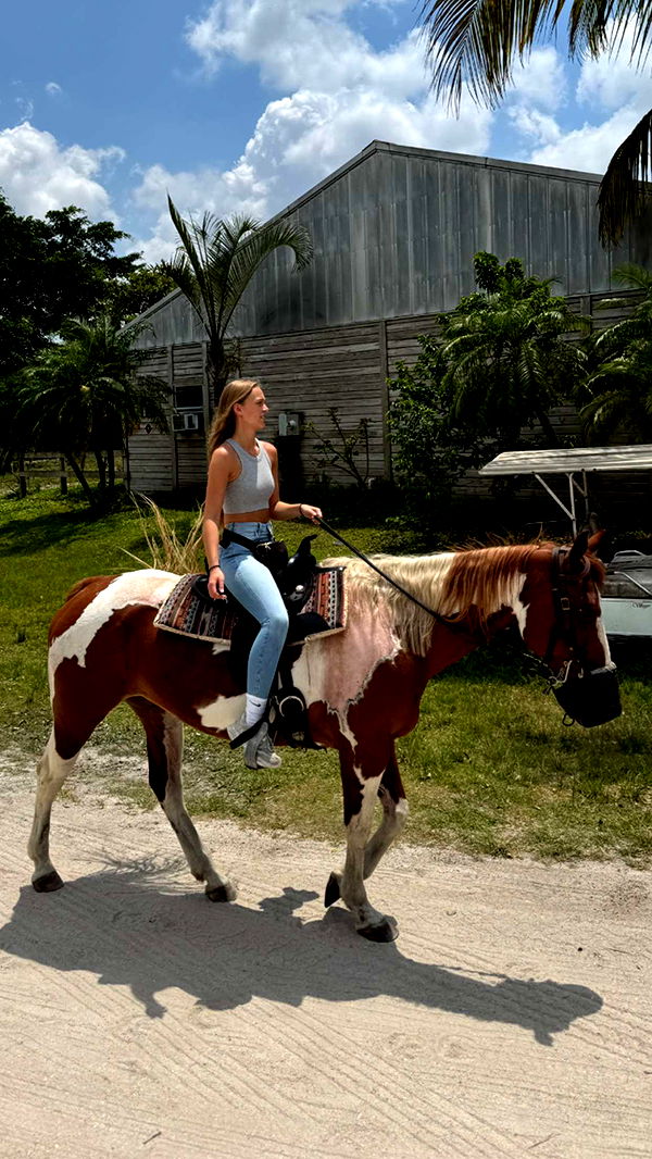 kydoddss image ~ Altpins