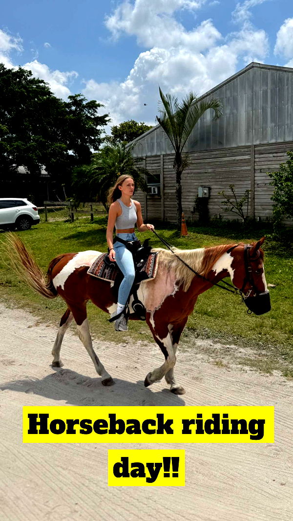 kydoddss image ~ Altpins