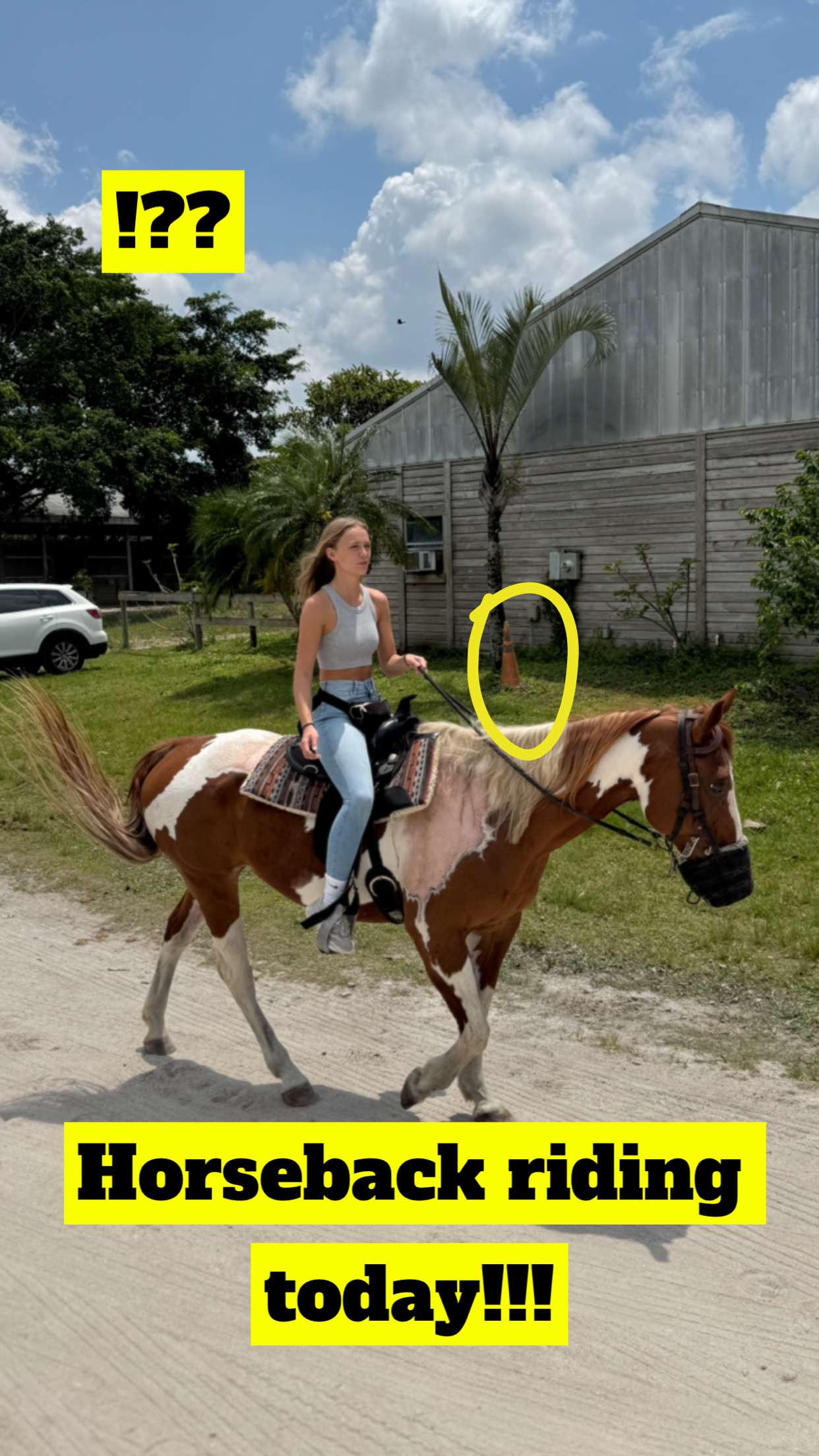 kydoddss snapchat image archive image