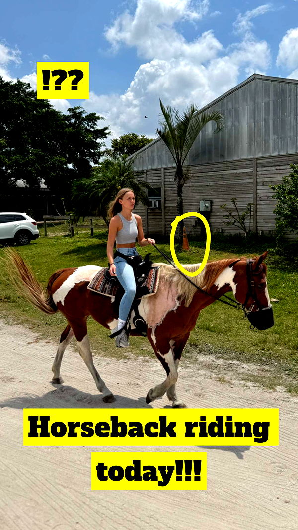 kydoddss image ~ Altpins