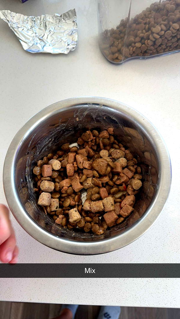 kydoddss image ~ Altpins