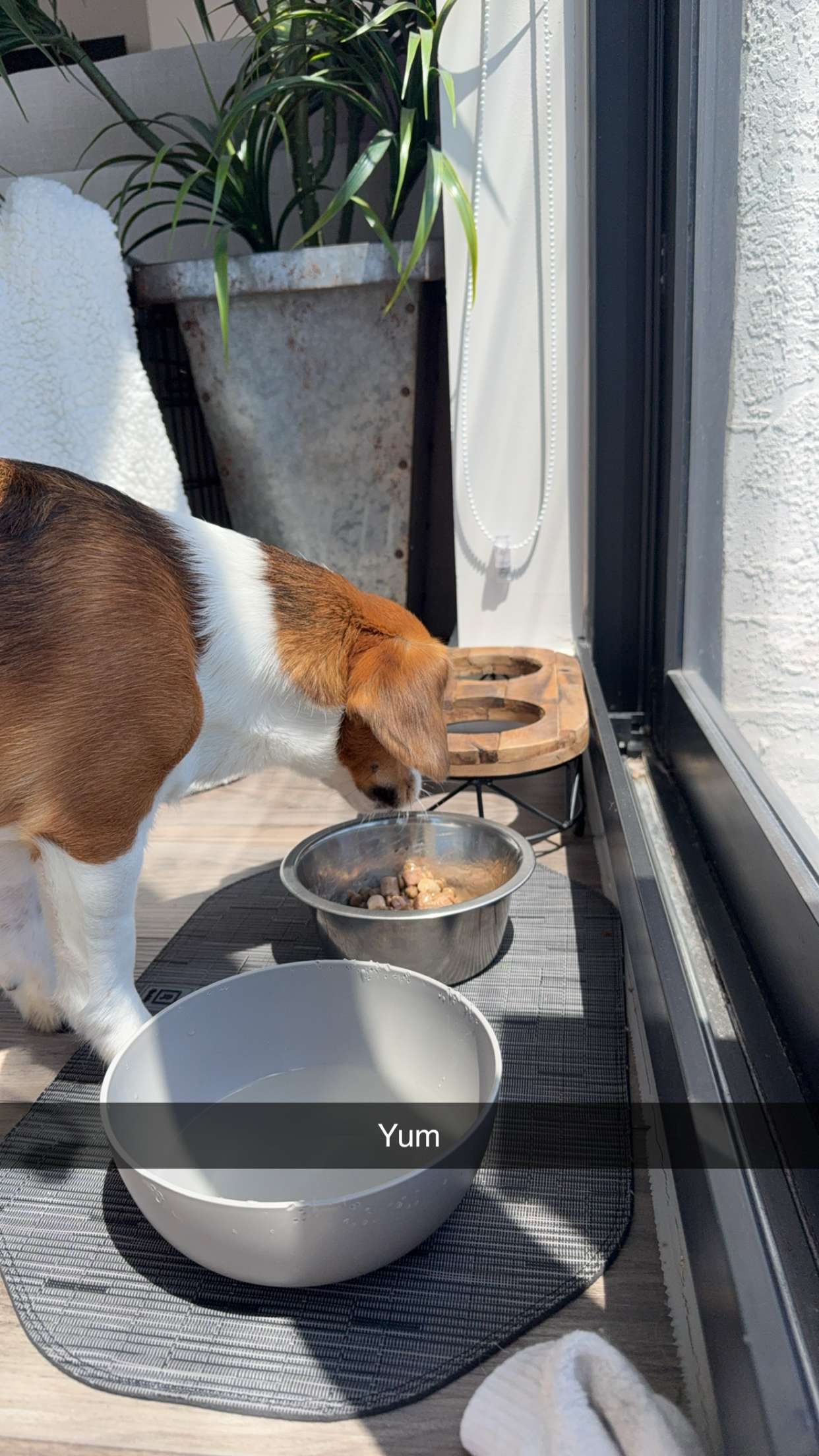 kydoddss snapchat image archive image