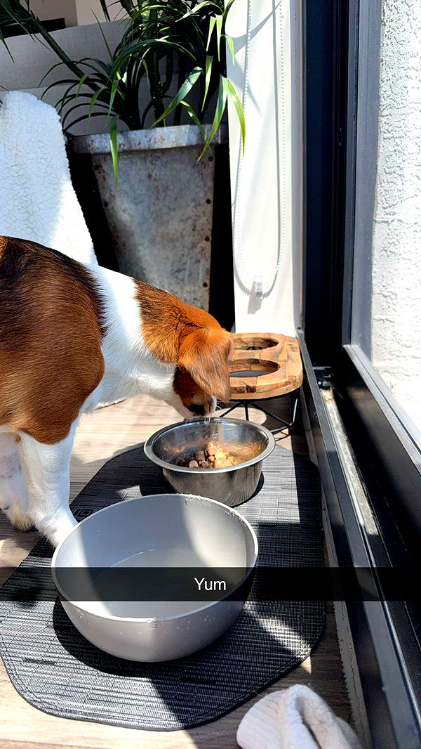 kydoddss image ~ Altpins