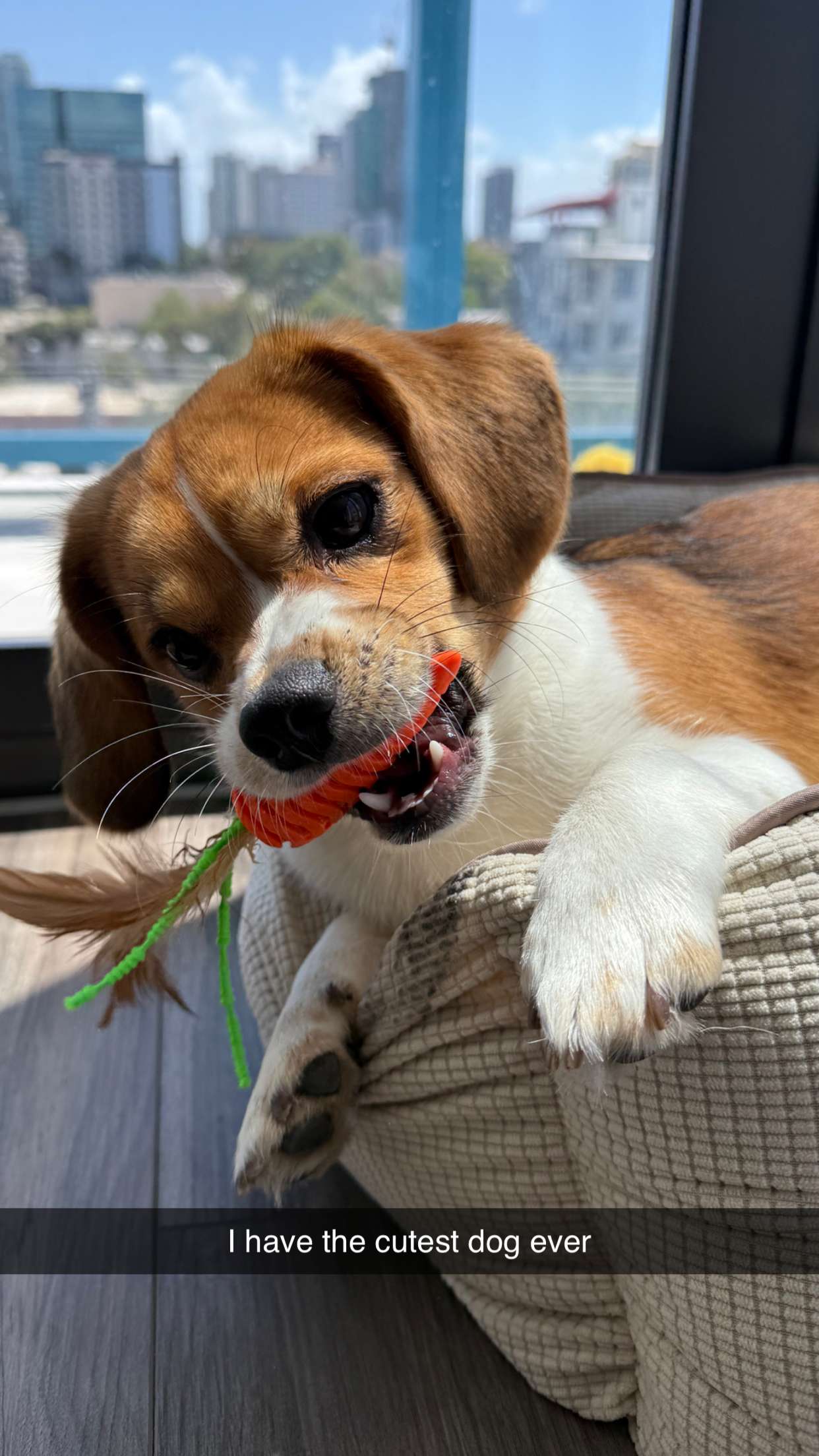 kydoddss snapchat image archive image