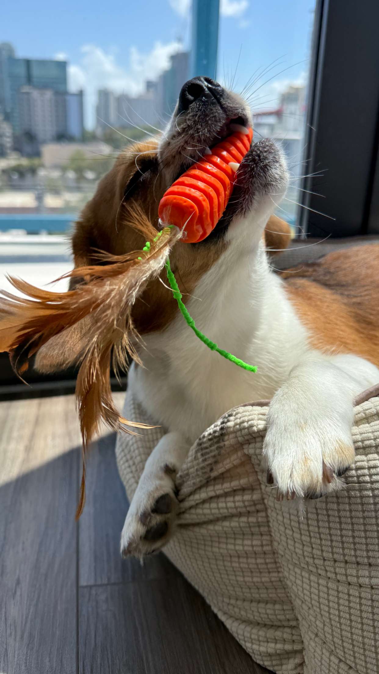 kydoddss snapchat image archive image