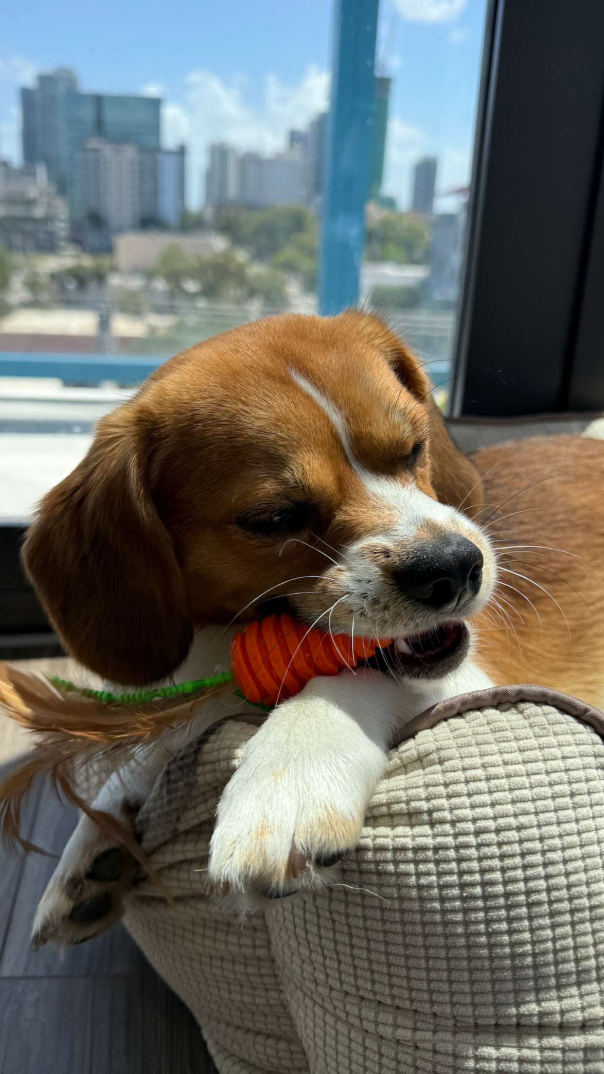 kydoddss snapchat image archive image