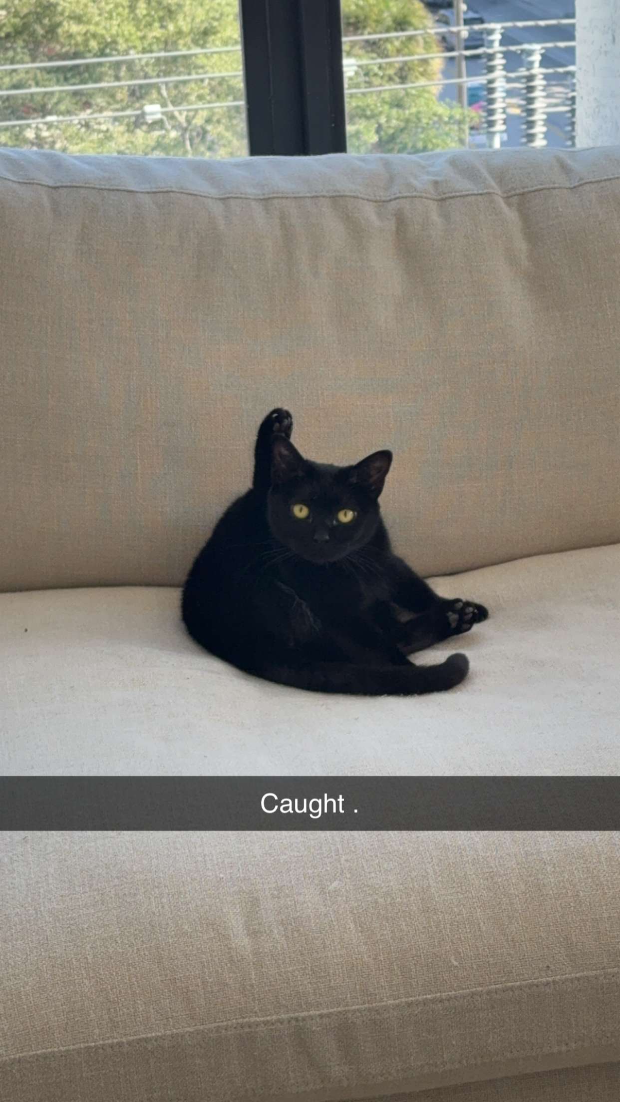 kydoddss snapchat image archive image