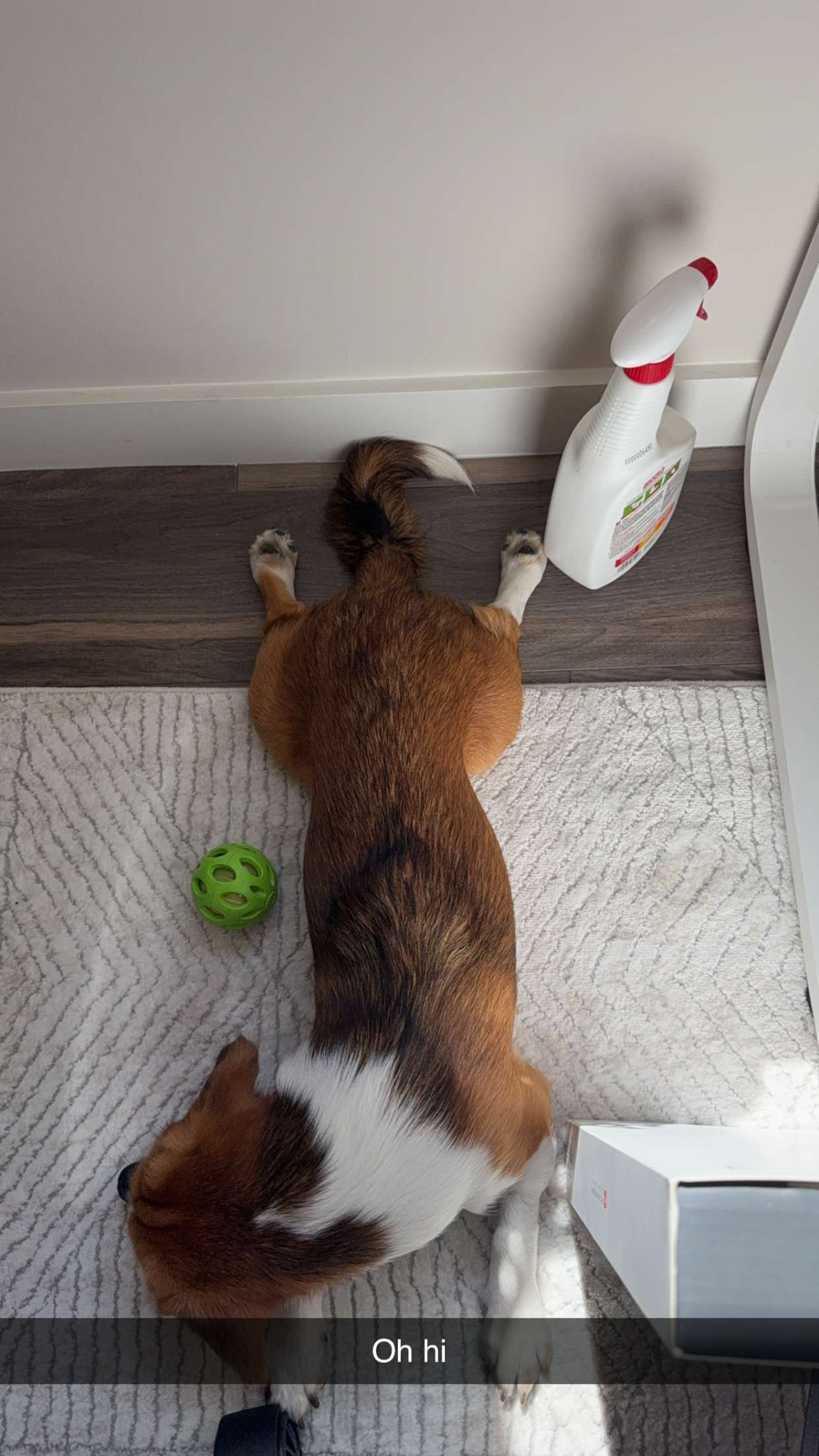 kydoddss snapchat image archive image