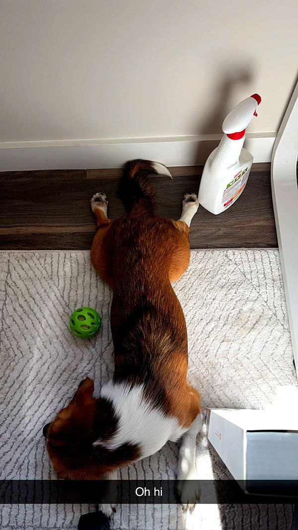 kydoddss image ~ Altpins