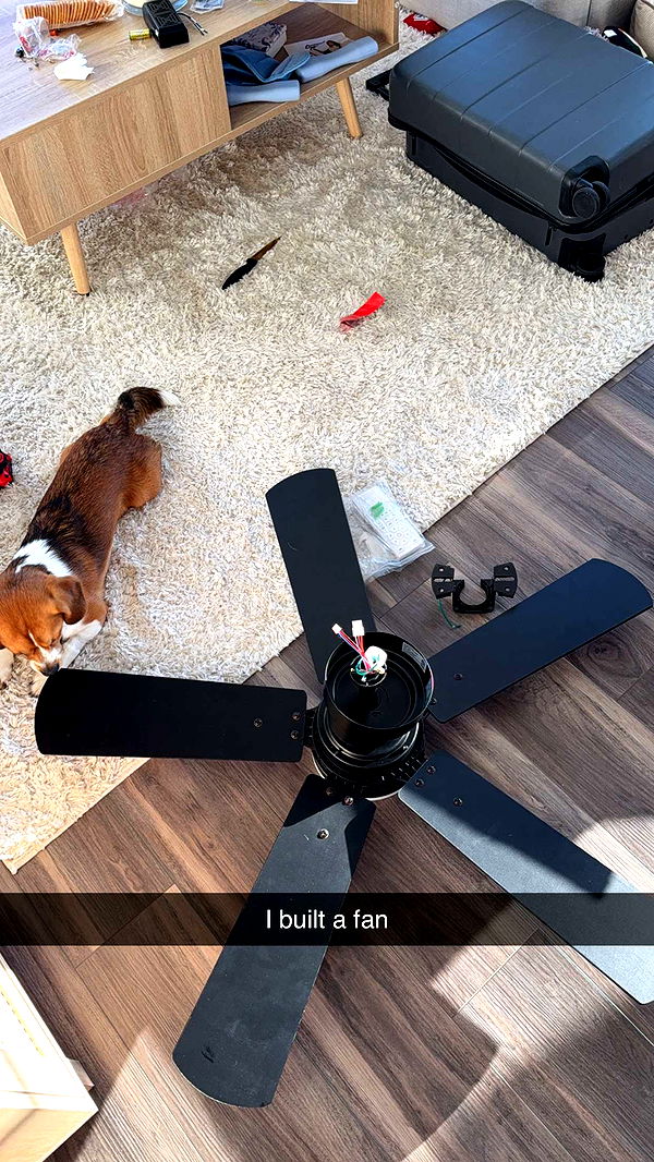 kydoddss image ~ Altpins