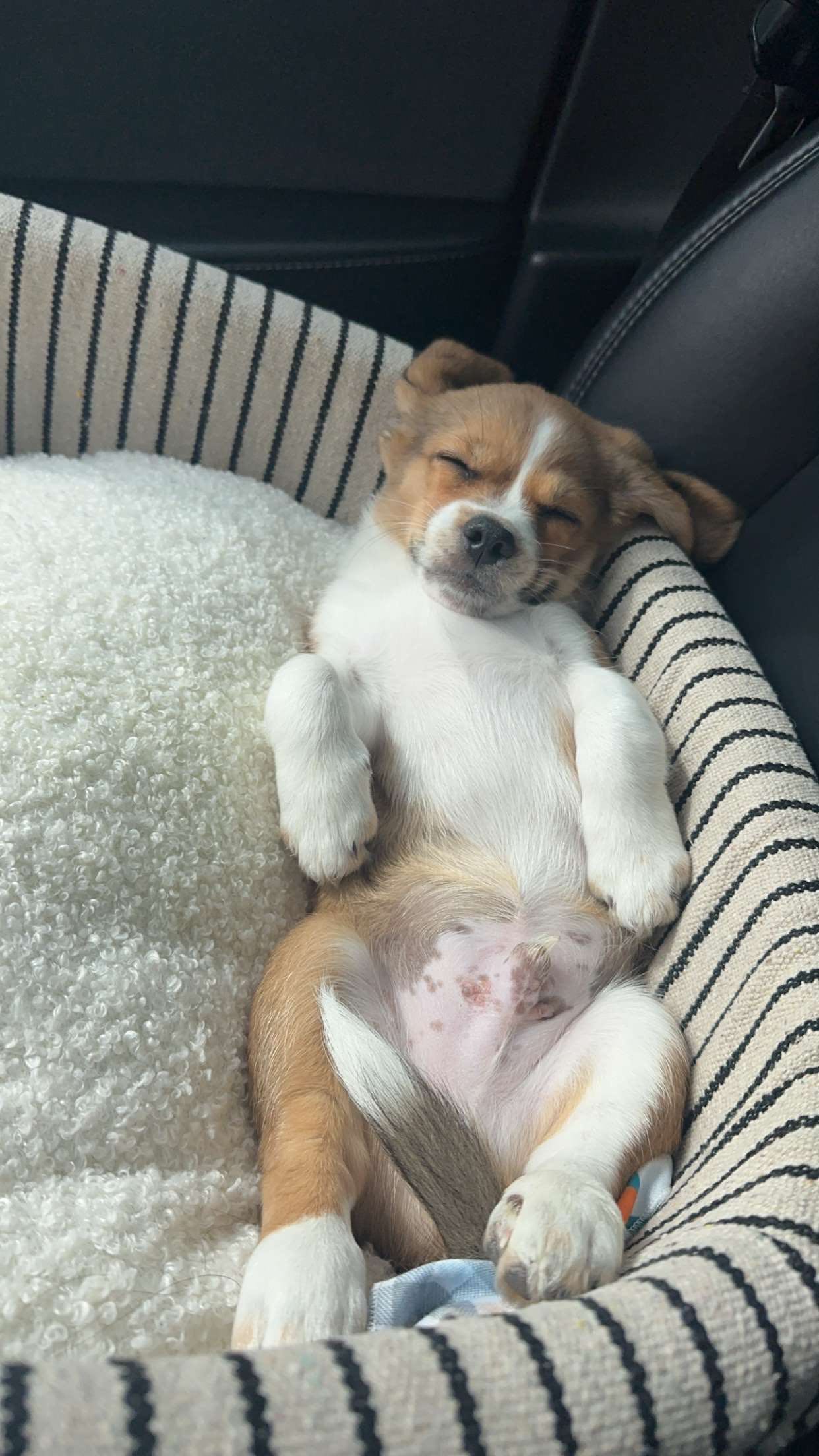 kydoddss snapchat image archive image