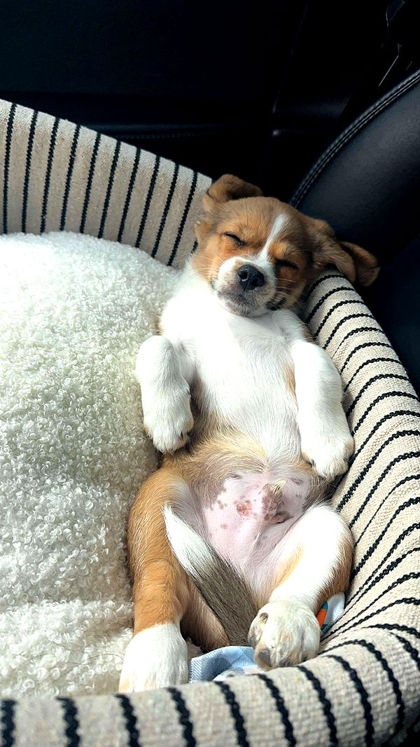 kydoddss image ~ Altpins