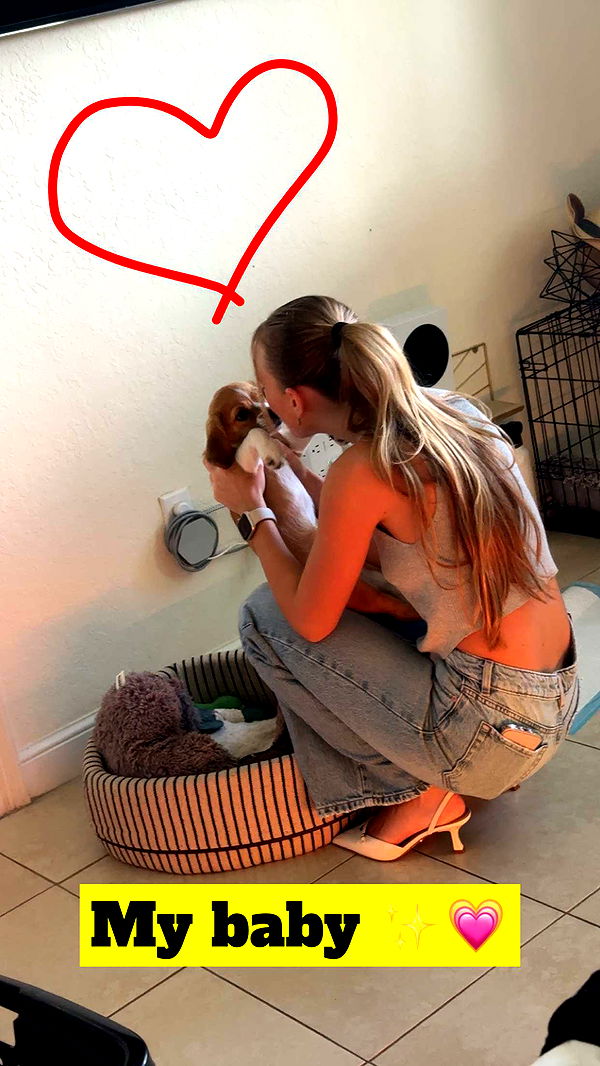 kydoddss image ~ Altpins