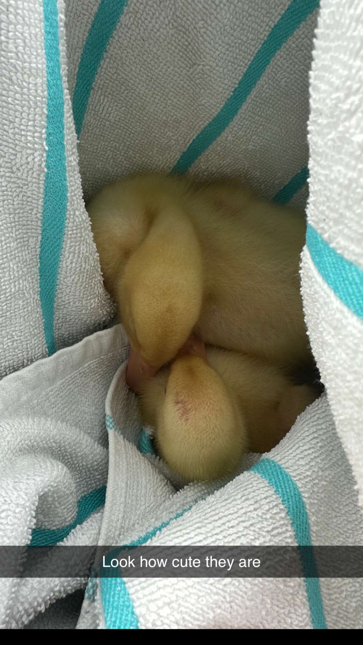 kydoddss snapchat image archive image