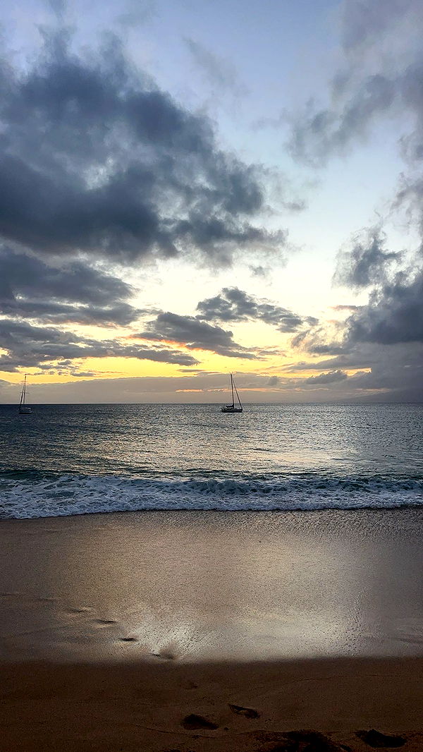 kydoddss image ~ Altpins