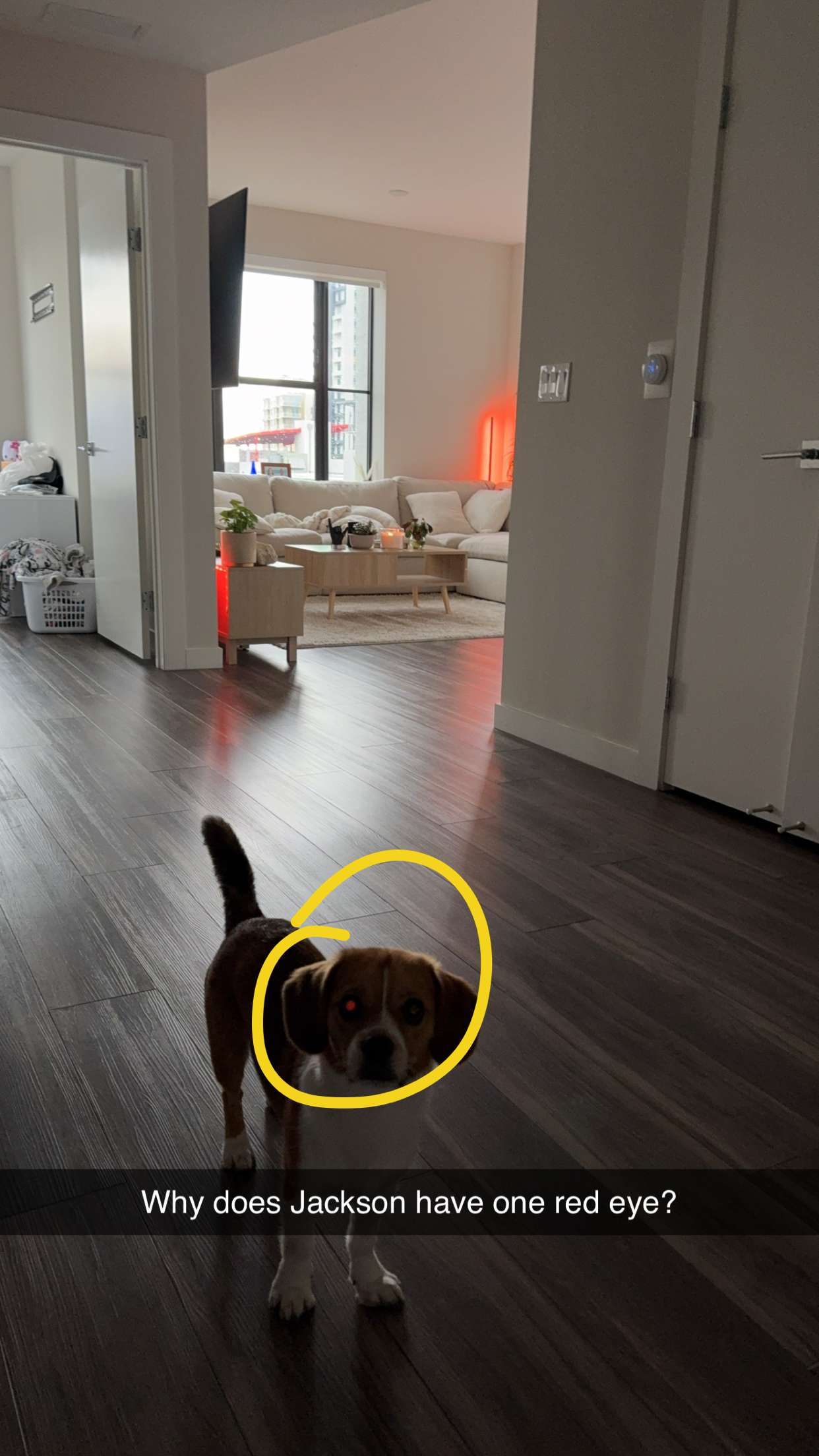 kydoddss snapchat image archive image