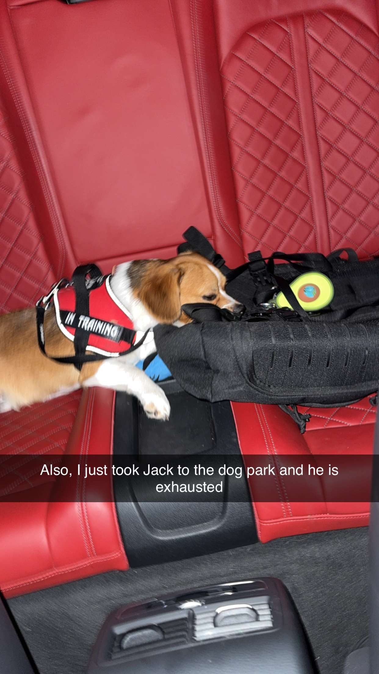 kydoddss snapchat image archive image